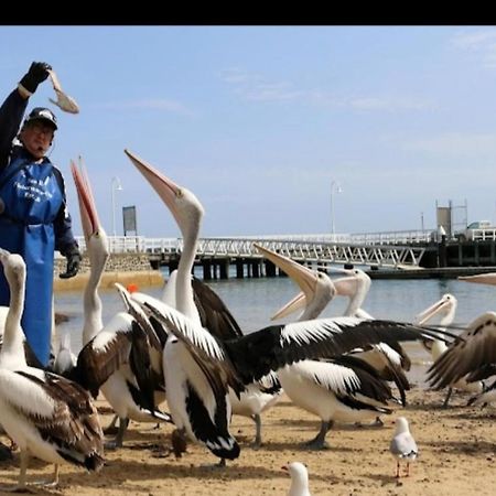 Relax In San Remo Pets Welcome Exterior foto